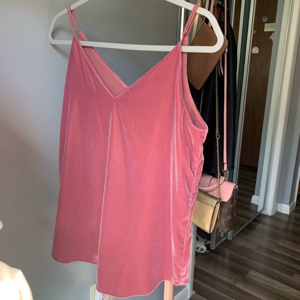 NWOT Express Velvet Tank Top